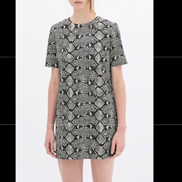 Zara Python Snake Print Short Sleeve Shift Dress - Picture 3 of 7